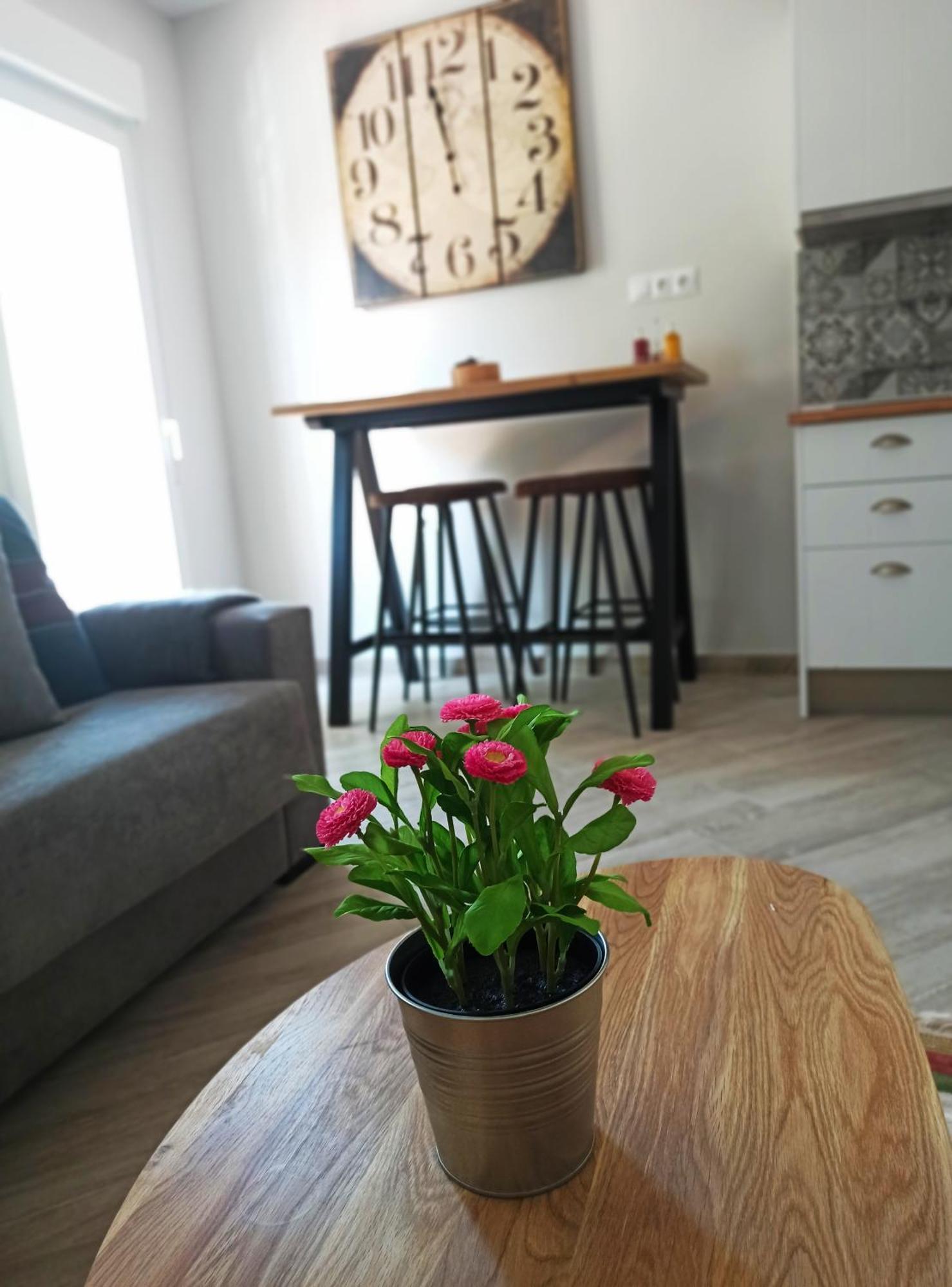Barcelo 21, Parking On Request, Atico With Terrace & Studio With Patio, Center, Breakfast Included, Quite Neighborhood, Bc Малага Стая снимка